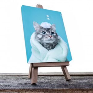 Cuadro Decorativo de Gato Gris Bañándose #505