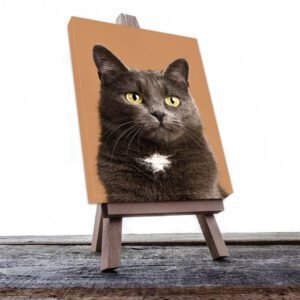 Cuadro Decorativo de Gato Gris con punto Blanco #506