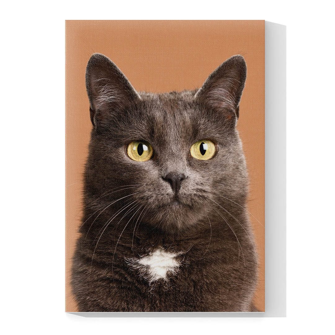 Cuadro Decorativo de Gato Gris con punto Blanco #506 - Imagen 4