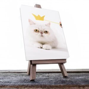 Cuadro Decorativo de Gato Blanco con Corona #512