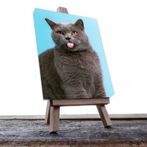 Cuadro Decorativo de Gato Gris Sacando la Lengua #515