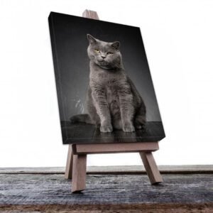 Cuadro Decorativo de Gato Gris #516