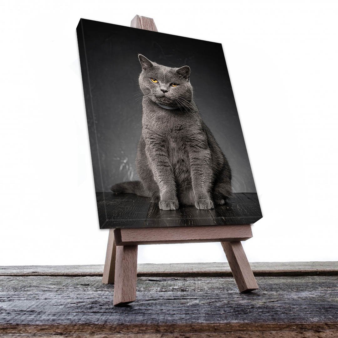 Cuadro Decorativo de Gato Gris #516