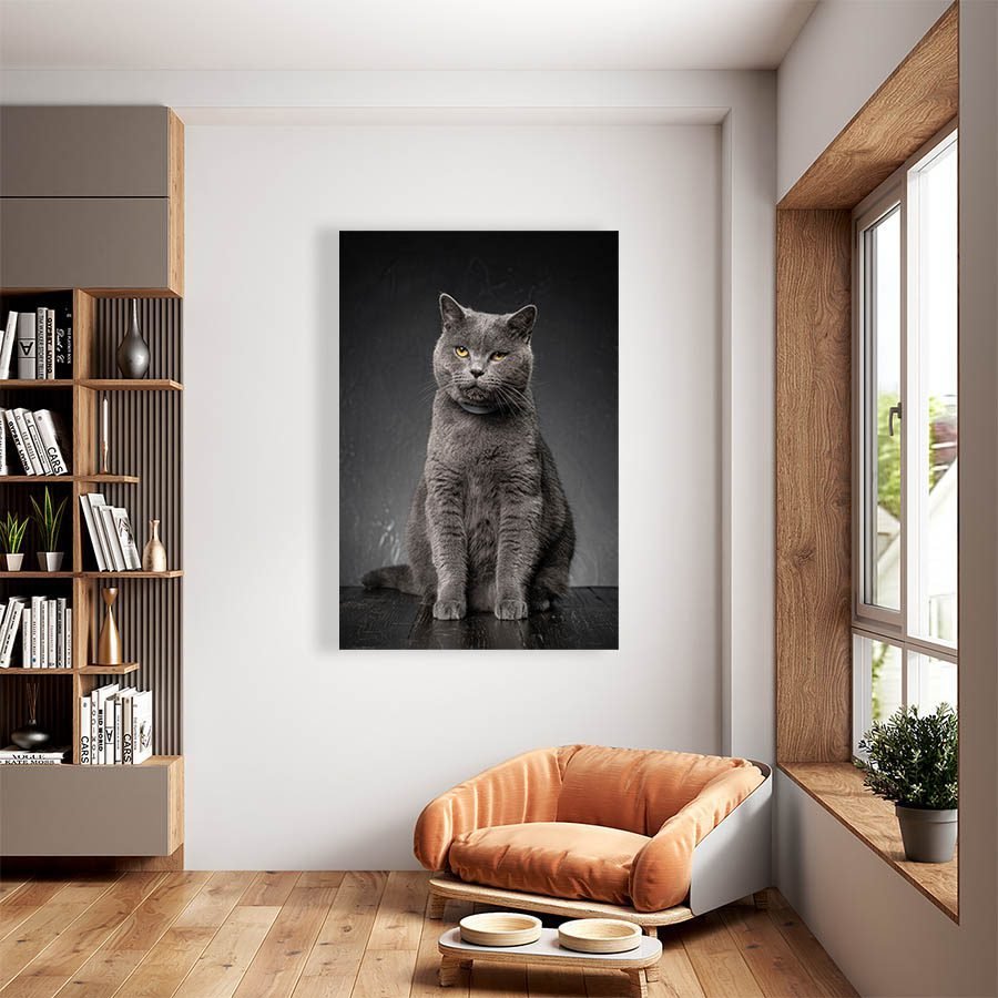 Cuadro Decorativo de Gato Gris #516 - Imagen 2