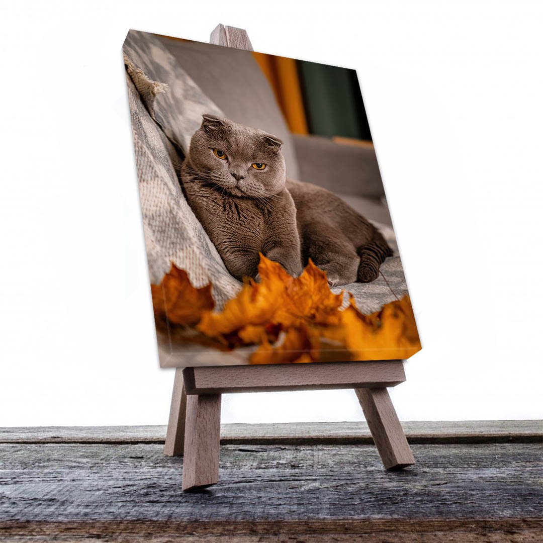 Cuadro Decorativo de Gato Gris #517