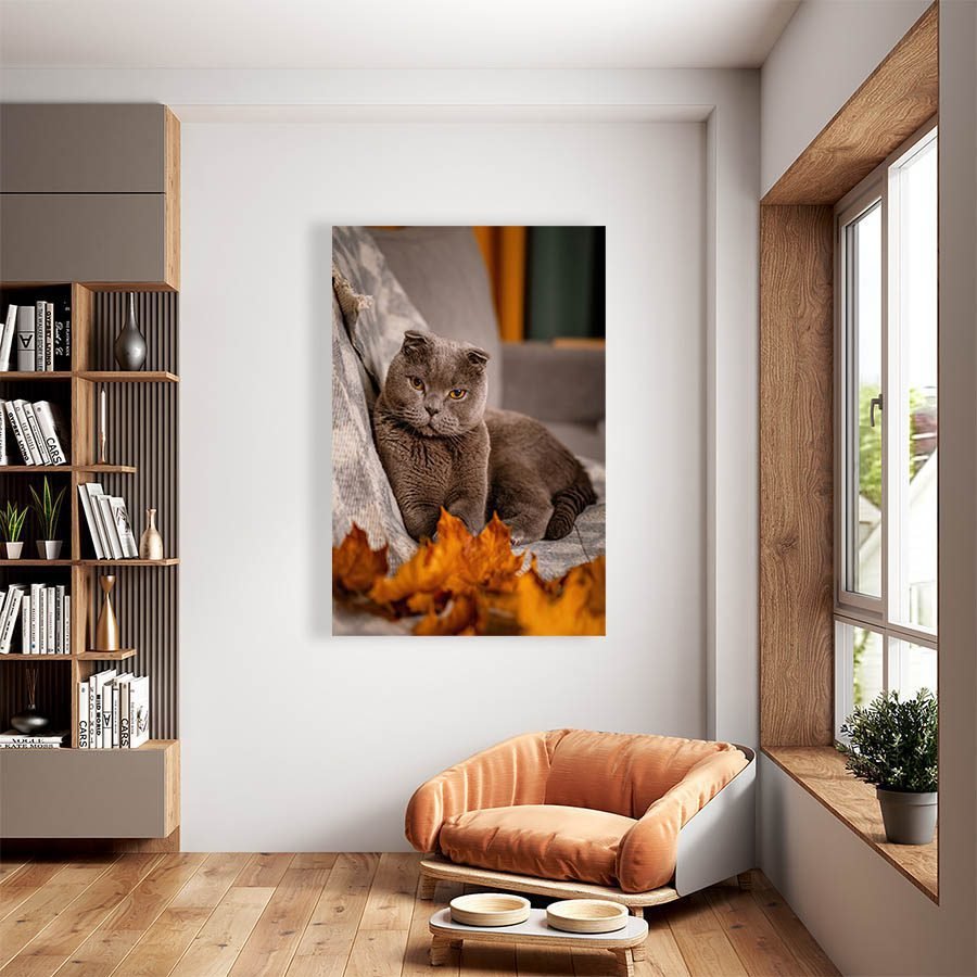 Cuadro Decorativo de Gato Gris #517 - Imagen 2