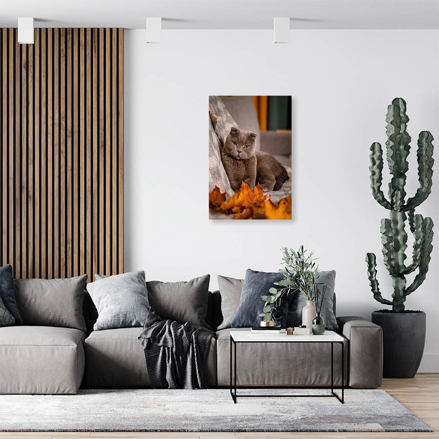 Cuadro Decorativo de Gato Gris #517 - Imagen 3