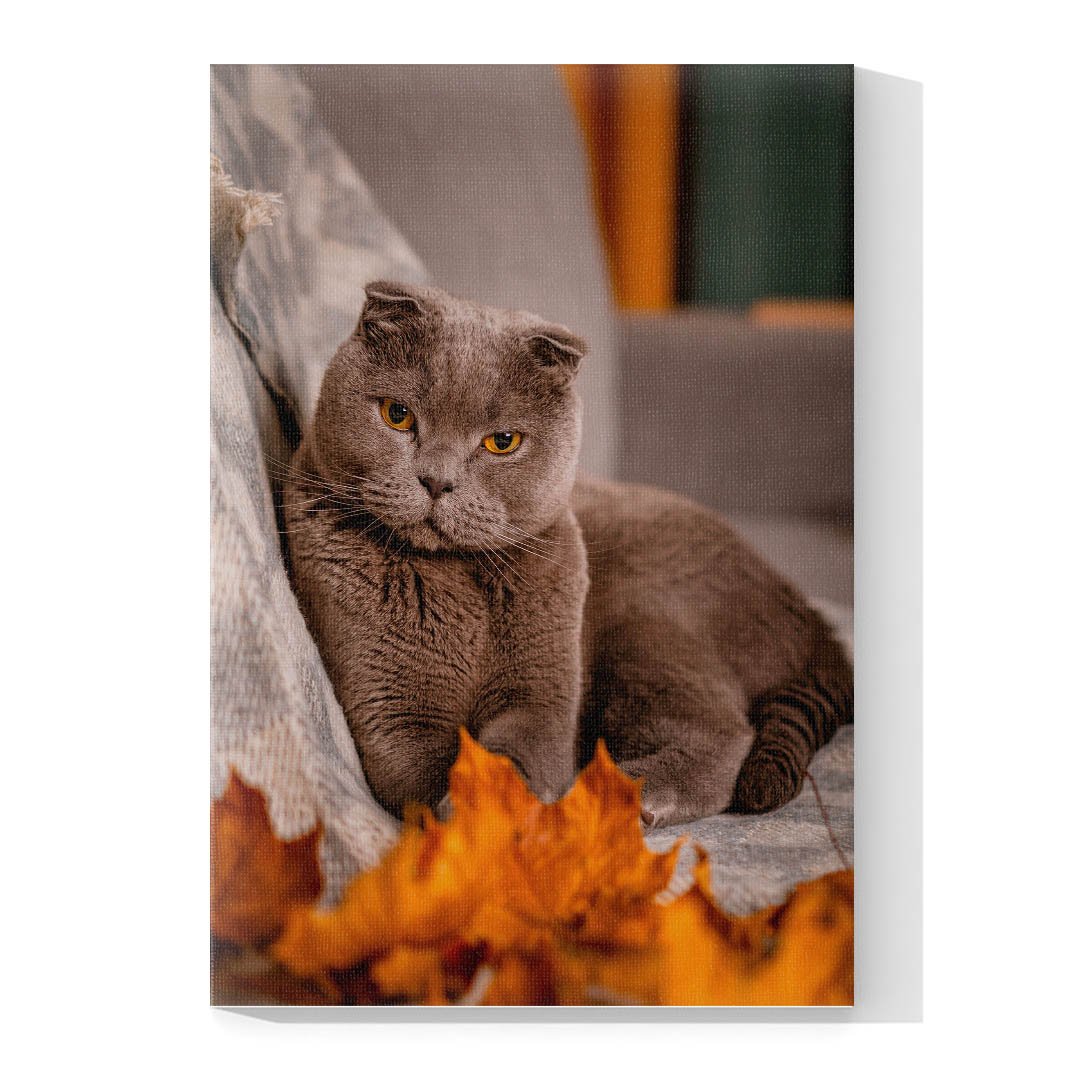 Cuadro Decorativo de Gato Gris #517 - Imagen 4