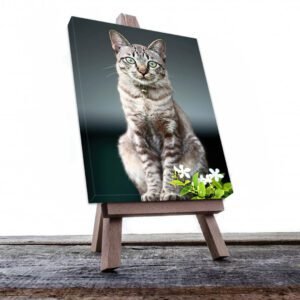 Cuadro Decorativo de Gato Atigrado #518