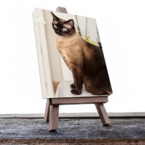 Cuadro Decorativo de Gato Siamés #519