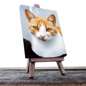 Cuadro Decorativo de Gato Blanco y Café #521