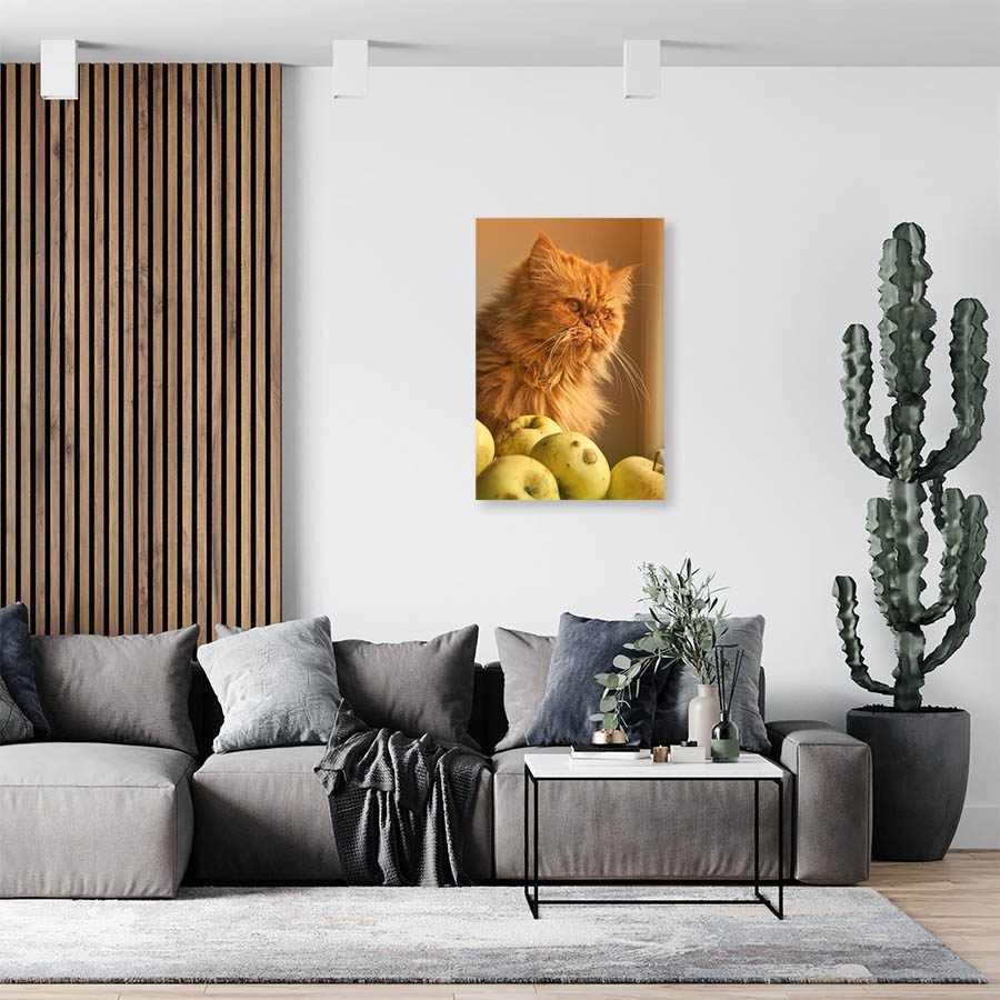 Cuadro Decorativo de Gato Persa #523 - Imagen 3