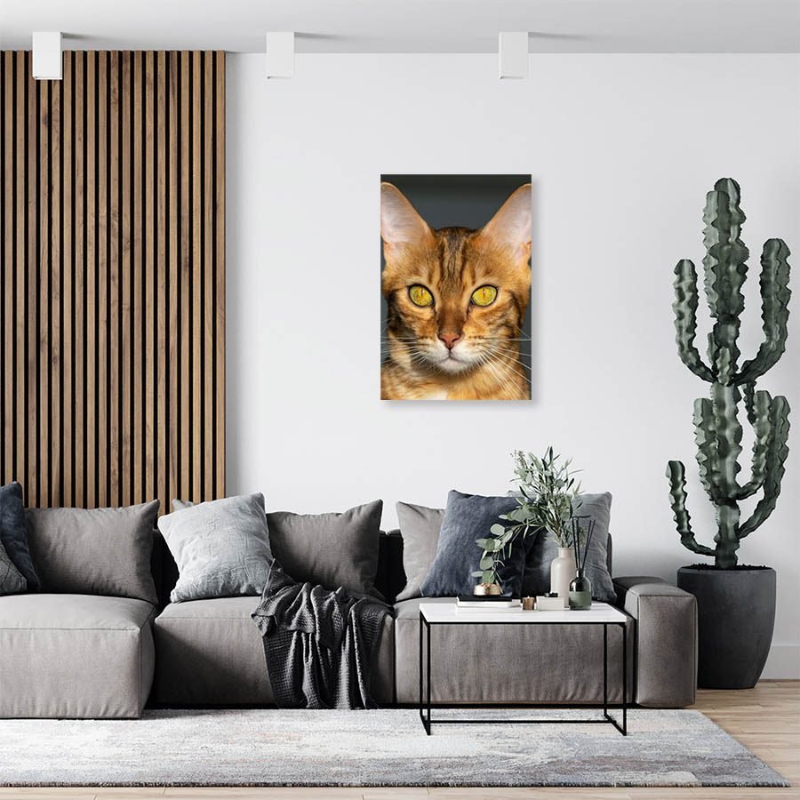 Cuadro Decorativo de Gato Café #526 - Imagen 3