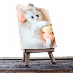 Cuadro Decorativo de Gato Blanco #527