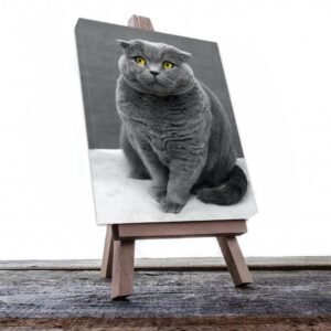 Cuadro Decorativo de Gato Gris #528