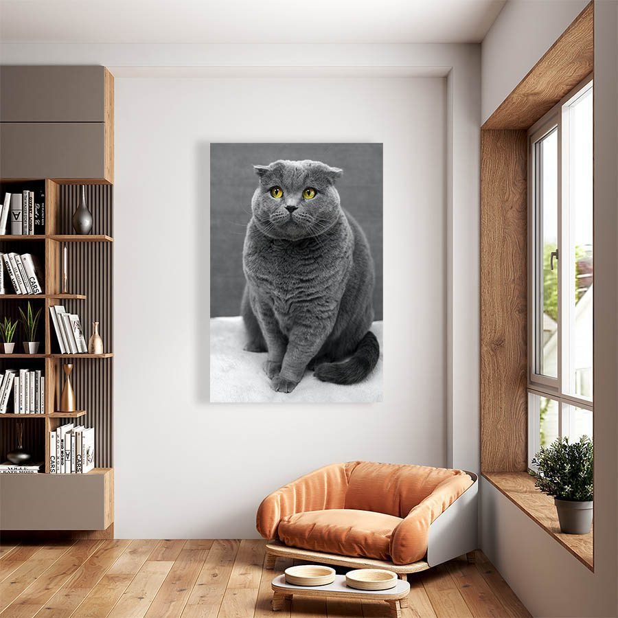 Cuadro Decorativo de Gato Gris #528 - Imagen 2