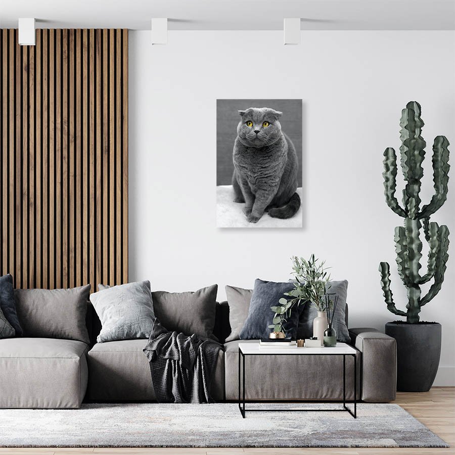 Cuadro Decorativo de Gato Gris #528 - Imagen 3