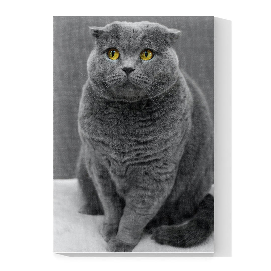 Cuadro Decorativo de Gato Gris #528 - Imagen 4