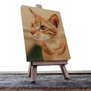 Cuadro Decorativo de Gato Atigrado Café Claro #532