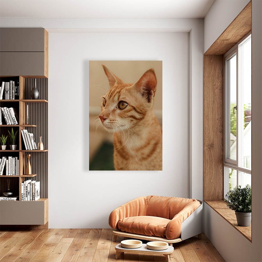 Cuadro Decorativo de Gato Atigrado Café Claro #532 - Imagen 2