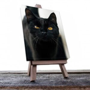Cuadro Decorativo de Gato Negro #534