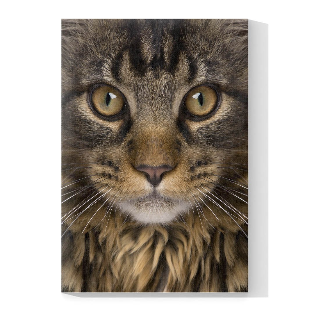 Cuadro Decorativo de Gato Gris Atigrado #535 - Imagen 4