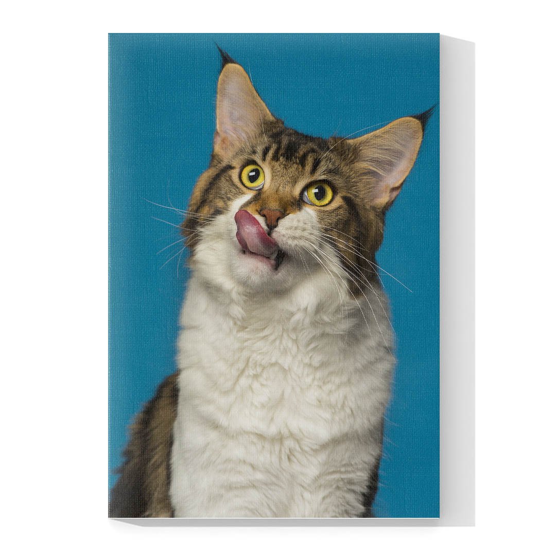 Cuadro Decorativo de Gato Gris Atigrado con Blanco #536 - Imagen 4