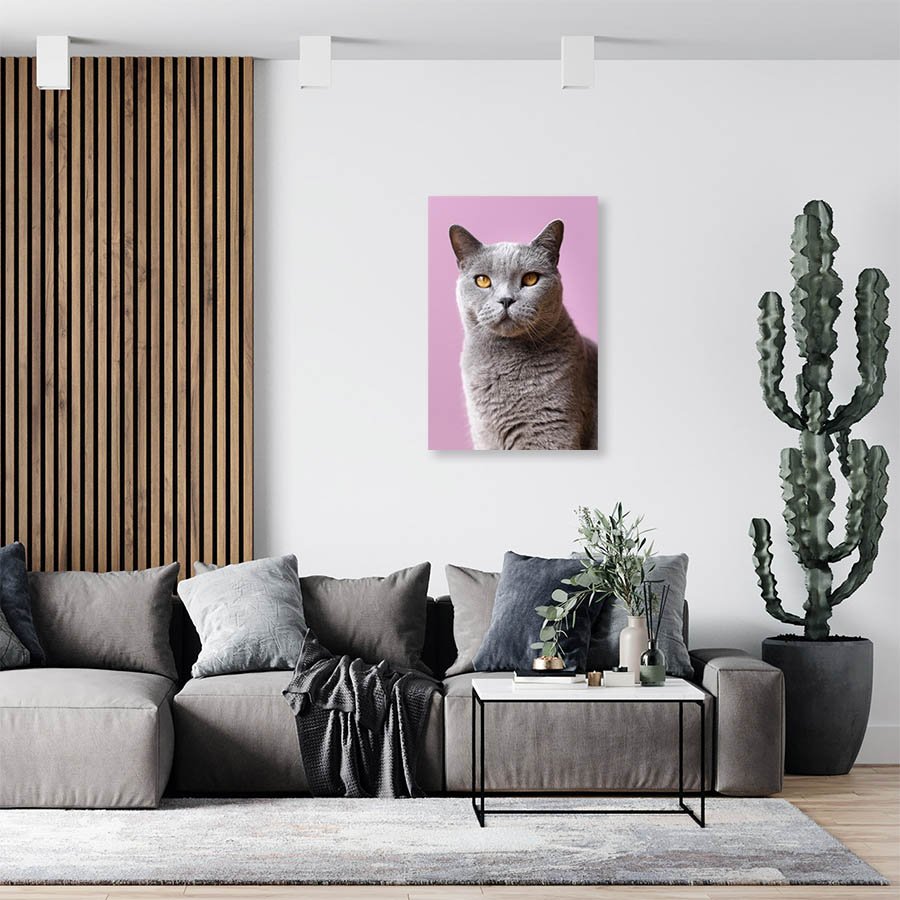 Cuadro Decorativo de Gato Gris #537 - Imagen 3