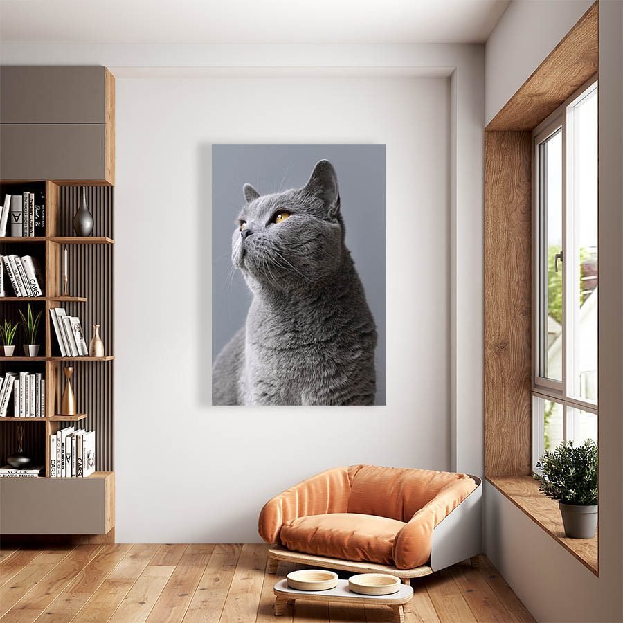 Cuadro Decorativo de Gato Gris #538 - Imagen 2