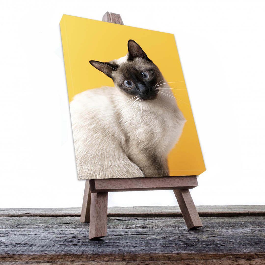 Cuadro Decorativo de Gato Siamés #539