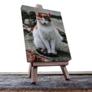 Cuadro Decorativo de Gato Blanco con Café #540