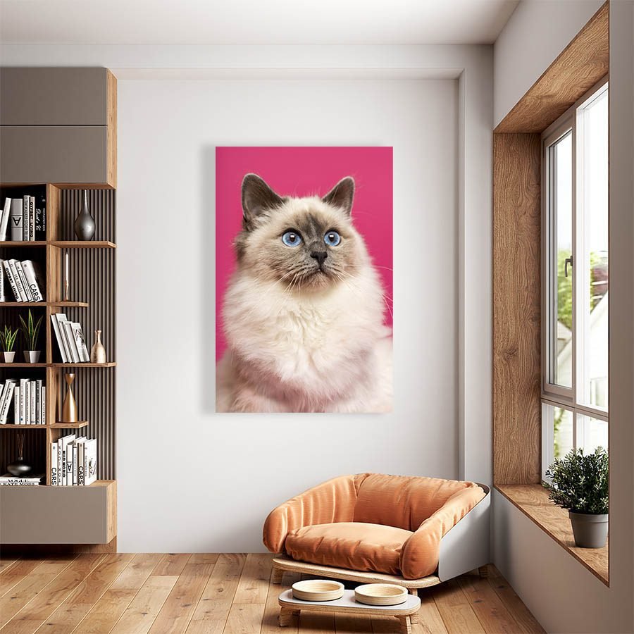 Cuadro Decorativo de Gato Siamés #541 - Imagen 2