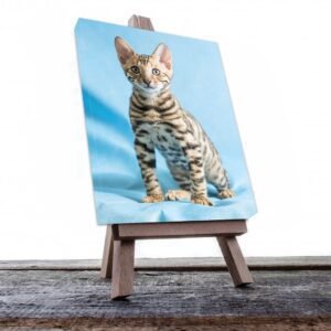 Cuadro Decorativo de Gatito Atigrado café #542
