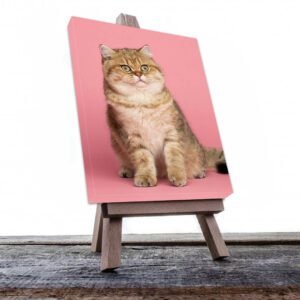 Cuadro Decorativo de Gato Café #544