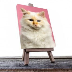 Cuadro Decorativo de Gato Blanco #545