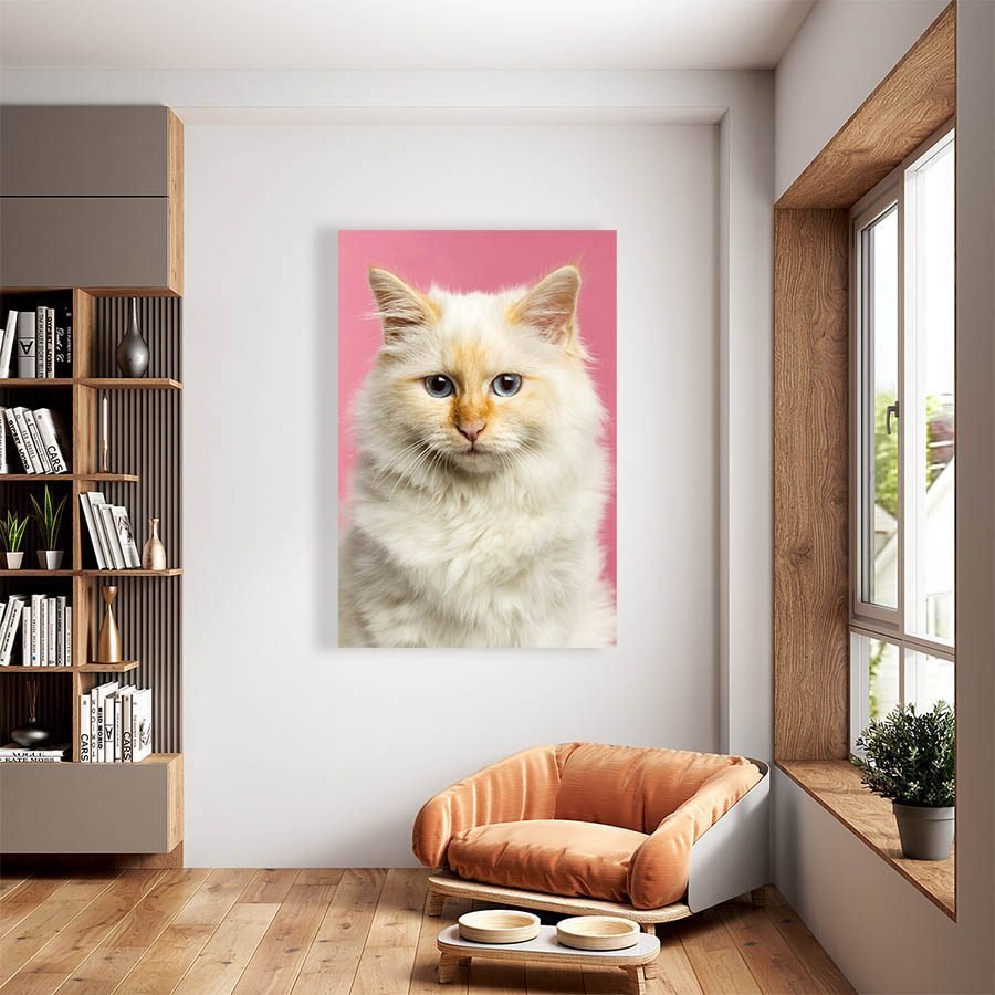 Cuadro Decorativo de Gato Blanco #545 - Imagen 2