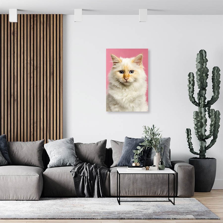 Cuadro Decorativo de Gato Blanco #545 - Imagen 3