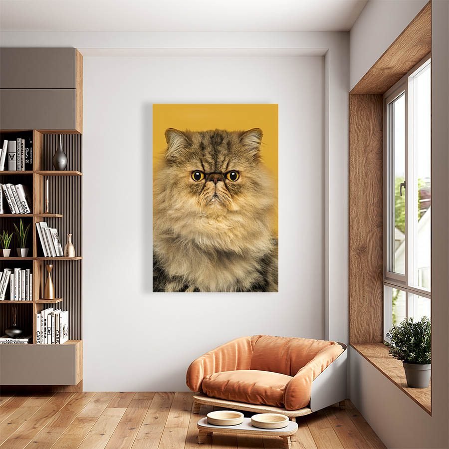 Cuadro Decorativo de Gato Persa Miel #547 - Imagen 2