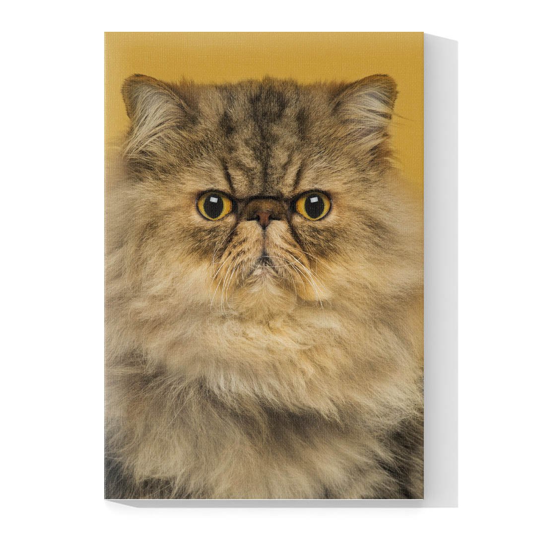 Cuadro Decorativo de Gato Persa Miel #547 - Imagen 4