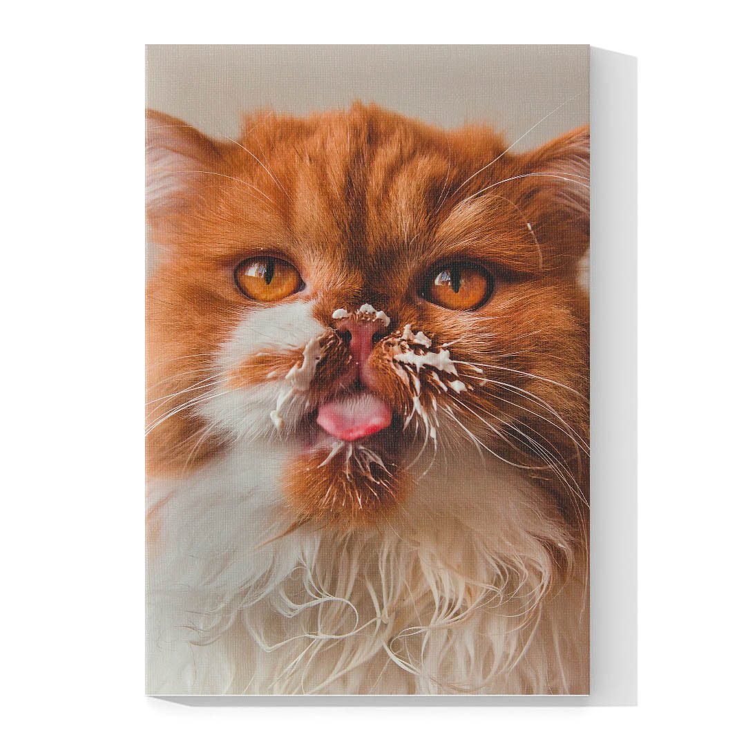 Cuadro Decorativo de Gato Persa Café #548 - Imagen 4