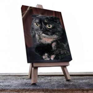 Cuadro Decorativo de Gato Persa Negro #549