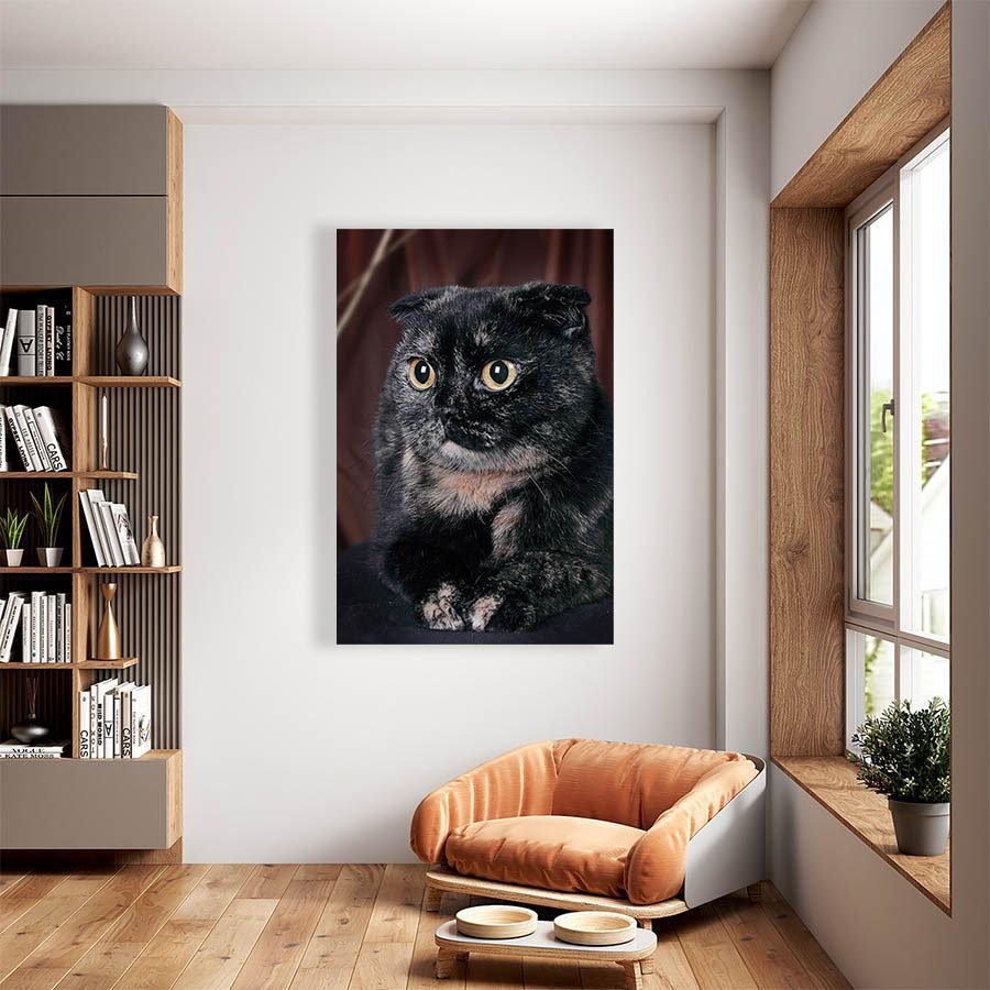Cuadro Decorativo de Gato Persa Negro #549 - Imagen 2