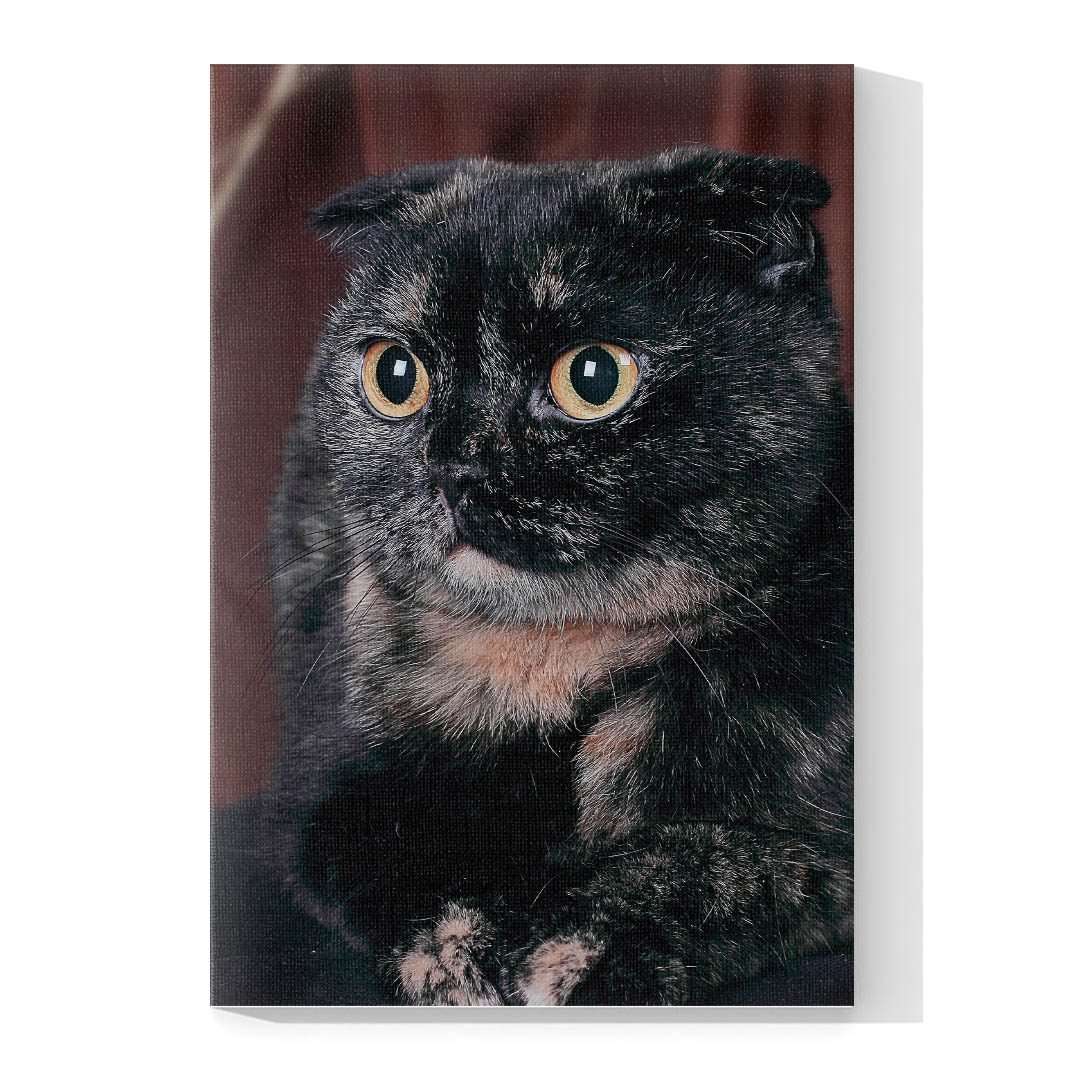 Cuadro Decorativo de Gato Persa Negro #549 - Imagen 4