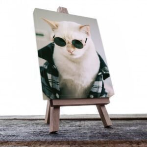 Cuadro Decorativo de Gato Blanco con Lentes #551