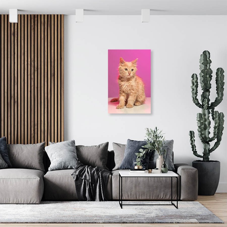 Cuadro Decorativo de Gato Café Claro #552 - Imagen 3