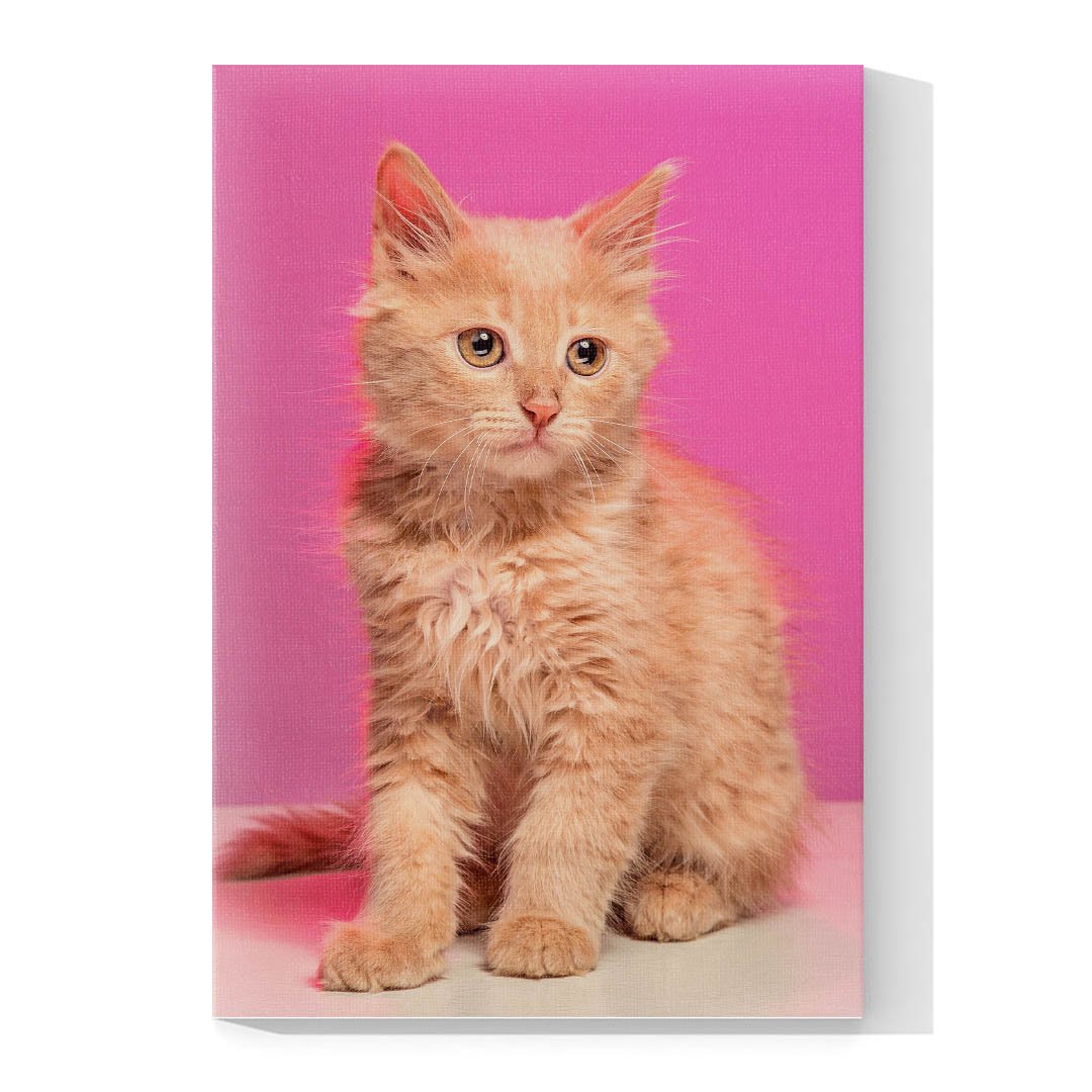 Cuadro Decorativo de Gato Café Claro #552 - Imagen 4