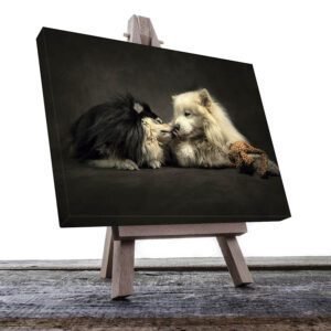 Cuadro Decorativo de Perros Samoyedos Blanco y Negro #02