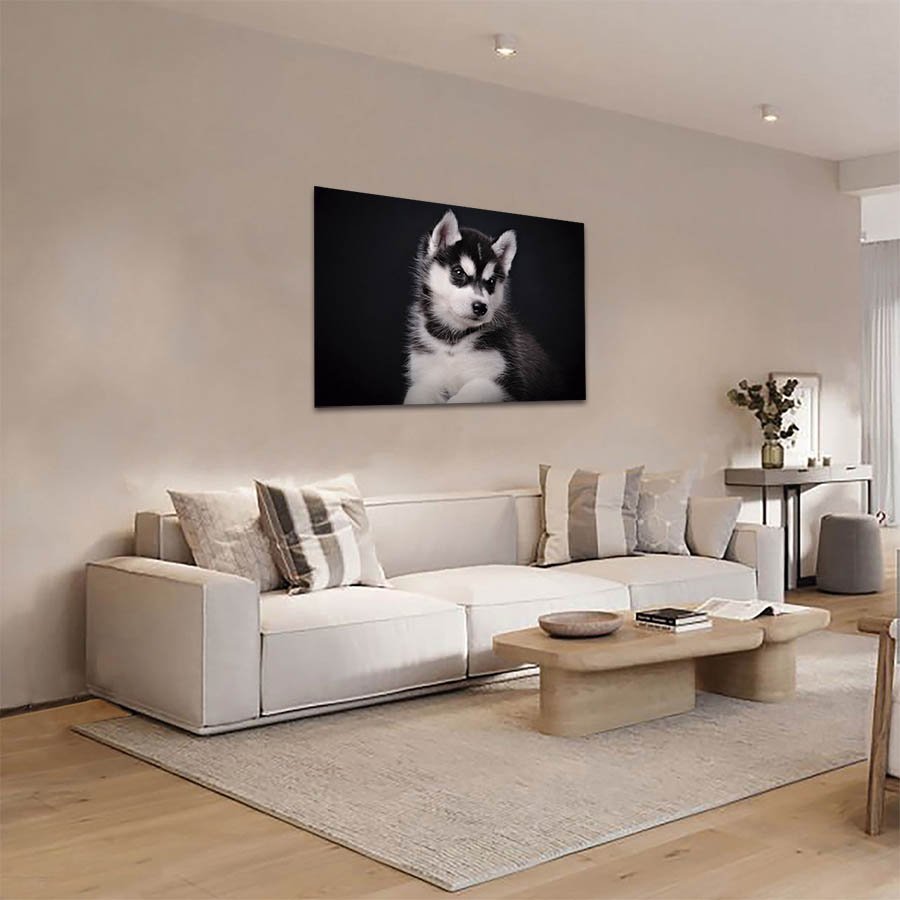 Cuadro Decorativo de Perro Husky Gris#05 - Imagen 3