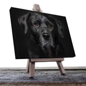 Cuadro Decorativo de Perro Labrador Negro #09
