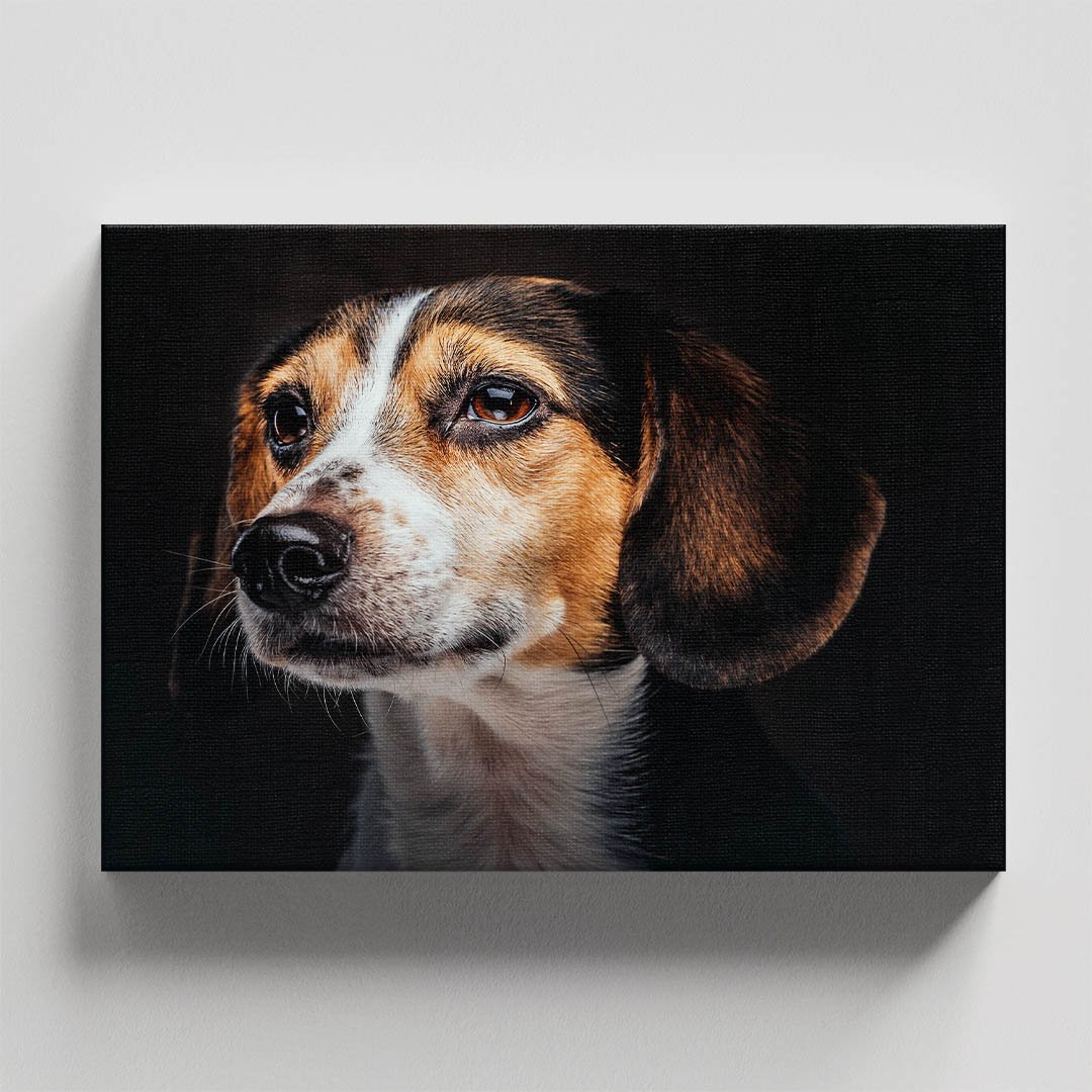 Cuadro Decorativo de Perro Beagle #10 - Imagen 4